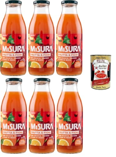 Misura Frutti & FioriArancia Zenzero e Fiori di Ibisco Orangen-Ingwer und Hibiskusblüten 6x500ml+ Italian Gourmet polpa 400g Misura Frutti & FioriArancia Zenzero e Fiori di Ibisco Orangen-Ingwer und Hibiskusblüten 6x500ml+ Italian Gourmet polpa 400g von Italian Gourmet E.R.
