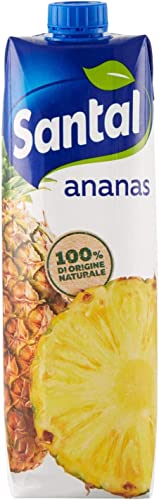 Parmalat Santal I Classici Succo di Frutta Ananas Fruchtsaft 100% Natürlichen Ursprungs Erfrischendes Erfrischungsgetränk Tetrapack 1000ml von Italian Gourmet E.R.