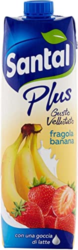 Parmalat Santal Plus Succo di Frutta Fragola e Banana Erdbeere und Banane Fruchtsaft mit einem Tropfen Milch Samtiger Geschmack Erfrischendes Erfrischungsgetränk Tetrapack 1000ml von Italian Gourmet E.R.