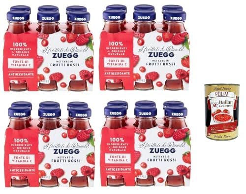 Zuegg Nettare di Frutti Rossi, Roter Fruchtnektar, Roter Fruchtsaft, Erfrischendes alkoholfreies Getränk, 24x 125ml Einweg-Glasflasche + Italian Gourmet polpa 400g von Italian Gourmet E.R.