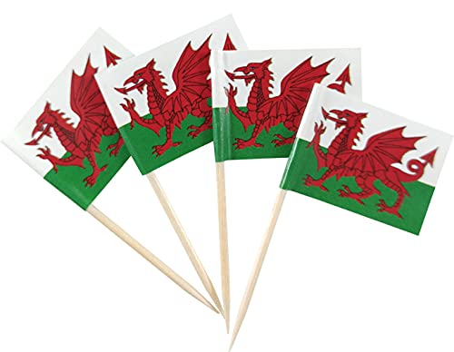 JBCD Wales Zahnstocher-Flagge, walisische Mini-Cupcake-Topper, 200 Stück JBCD Wales Zahnstocher-Flagge, walisische Mini-Cupcake-Topper, 200 Stück von JBCD