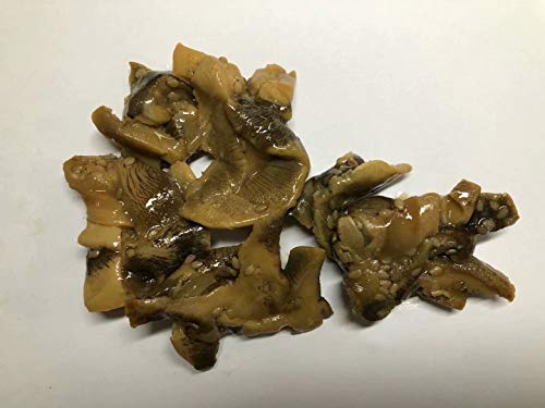 3 Pfund (1362 Gramm) Holzkohle gebratene Conch Slices Snack aus China Sea von JOHNLEEMUSHROOM RESELLER