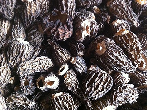 1 Pfund (454 Gramm) Getrocknete Morcheln Pilz Premium Grade von Yunnan China 中国云南 von JOHNLEEMUSHROOM RESELLER