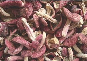 1 Pfund (454 Gramm) roter Pilz getrocknete Russula aus Yunnan China （中国 云南） von JOHNLEEMUSHROOM RESELLER