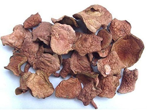 1 Pfund (454 Gramm) Delicious Kuh-Röhrling Pilz Premium Grade von Yunnan China 中国云南 von JOHNLEEMUSHROOM RESELLER