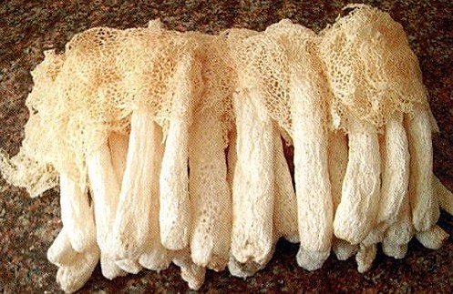1 Pfund (454 Gramm) natur Bambus Pilze, getrocknete Pilz aus Yunnan China 中国云南 von JOHNLEEMUSHROOM RESELLER