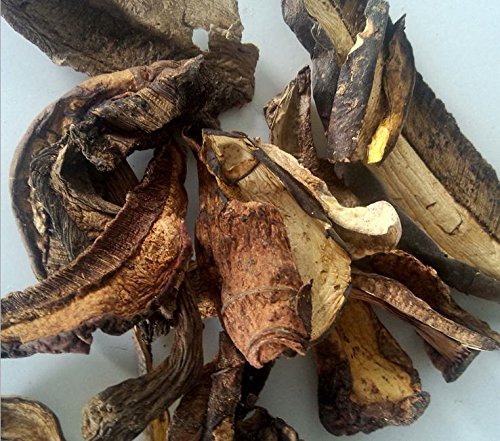 2 Pfund (908 Gramm) Bronze-Röhrling Pilz Getrocknete Güteklasse A schwarz-Steinpilz aus Yunnan China 中国云南 von JOHNLEEMUSHROOM RESELLER
