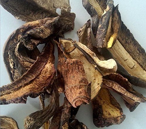 24 Unzen (680 Gramm) Boletus aereus Pilz getrocknet Grade A Schwarzer Steinpilz aus Yunnan China (中 国 云南) von JOHNLEEMUSHROOM RESELLER