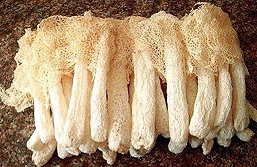 24 Unzen (680 Gramm) Natürlicher Bambuspilz Getrockneter Pilz von Yunnan China (中 国 云南) von JOHNLEEMUSHROOM RESELLER