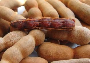 3 Pfund (1362 Gramm) Sweet Tamarinde Getrocknete Früchte von Yunnan China (云南干果甜角) von JOHNLEEMUSHROOM RESELLER