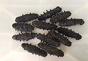 Getrocknete Meeresfrüchte Sea Cucumber 10 ounce (284 Gramm) aus South China Sea nanhai von JOHNLEEMUSHROOM RESELLER