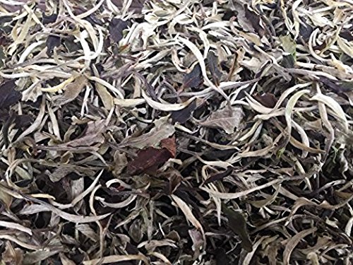Moonlight weiß Tee Premium Grade Loose Leaf Tasche Verpackung insgesamt 3 Pfund (1362 Gramm) von JOHNLEEMUSHROOM RESELLER