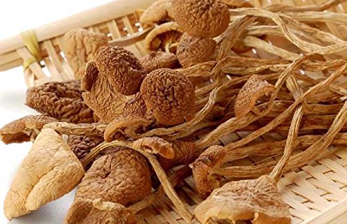 1 Pfund (454 Gramm) Grade Ein köstlicher Pilz Agrocybe Aegerita getrocknet aus Yunnan China von JOHNLEEMUSHROOM