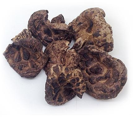 1 Pfund (454 Gramm) Sarcodon Aspratus getrockneter Pilz von Yunnan China von JOHNLEEMUSHROOM
