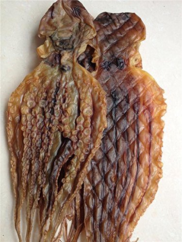 1 Pfund (454 Gramm) getrocknete Meeresfrüchte Oktopus aus China Sea von JOHNLEEMUSHROOM