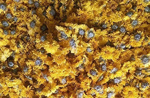 1050 Gramm Kräutertee gelbe Chrysantheme getrocknete Blume 100% natürliches Kraut genossen von Kaiser im alten China von JOHNLEEMUSHROOM