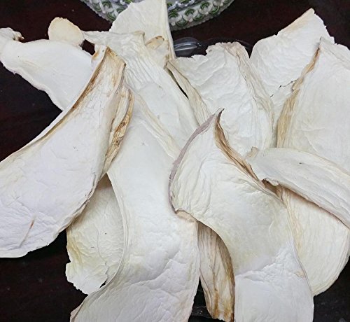 3 Pfund (1362 Gramm) Austern getrockneter Pilz erstklassiger Grad von Yunnan China von JOHNLEEMUSHROOM