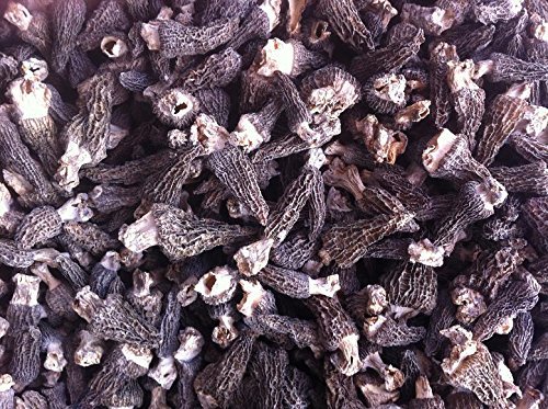 4 Unzen (114 Gramm) getrockneter Morchel Pilz Premium Grade aus Yunnan China von JOHNLEEMUSHROOM