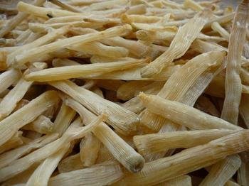 8 Unzen (227 Gramm) Kostbare getrocknete Meeresfrüchte Sipunculus nudus Sandwürmer aus China Sea von JOHNLEEMUSHROOM