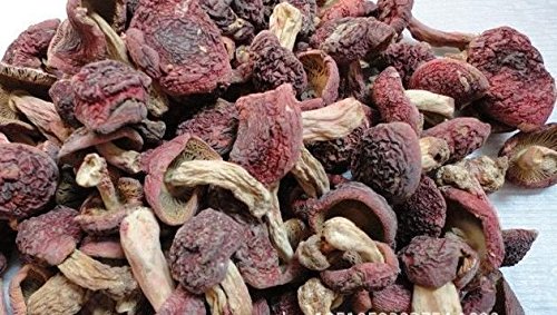 8 Unzen (227 Gramm) Roter Pilz Getrocknete Russula aus Yunnan China von JOHNLEEMUSHROOM