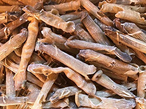 Edel getrocknete Meeresfrüchte Sipunculus nudus 700 Gramm sandworm aus Südchinesische Meer Nanhai von JOHNLEEMUSHROOM