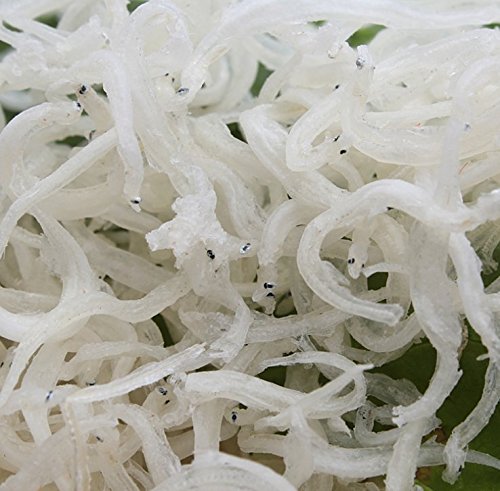 Getrocknete Meeresfrüchte kleine silberne Fische 1000 Gramm aus Südchinesisches Meer Nanhai von JOHNLEEMUSHROOM