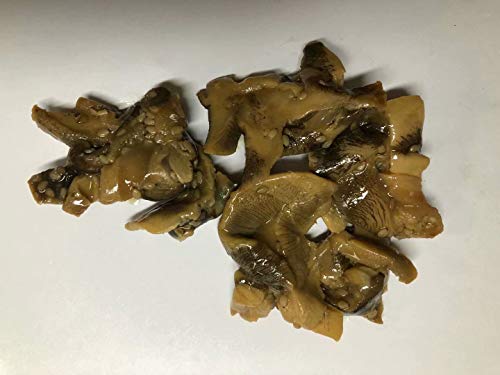 Holzkohle geröstete Muschelscheiben Snack 1600 Gramm aus China Sea von JOHNLEEMUSHROOM