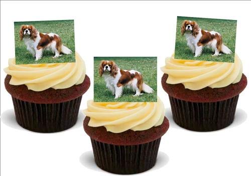 KING CHARLES SPANIEL HUND - 12 essbare hochwertige stehende Waffeln Kuchen Toppers - KING CHARLES SPANIEL DOG KING CHARLES SPANIEL HUND - 12 essbare hochwertige stehende Waffeln Kuchen Toppers - KING CHARLES SPANIEL DOG von JPS