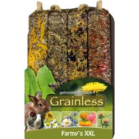 JR Farm Farmy's Grainless XXL - 2 x 4 Stück (900 g) von JR Farm