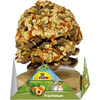 JR Farm Früchtebaum - 2 Stück (2 x 270 g) von JR Farm