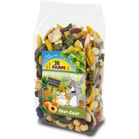 JR Farm Obst-Salat - 2 x 500 g von JR Farm