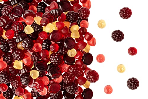 Fruchtgummi, Fruchtsaft-Waldfrüchte, glutenfrei, laktosefrei, 1 Kg Beutel Fruchtgummi, Fruchtsaft-Waldfrüchte, glutenfrei, laktosefrei, 1 Kg Beutel von JUNG