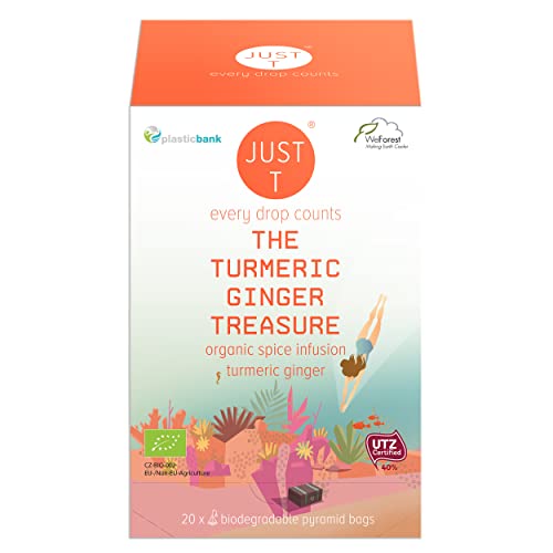 JUST T The Turmeric Ginger Treasure Pyramiden Teebeutel (20 pcs) | Bio Gewürztee – Angereichert mit Kurkuma Ingwer | Biologisch abbaubare Bio Teebeutel – Hochland Blatt Tee für alle Teeliebhaber von JUST T