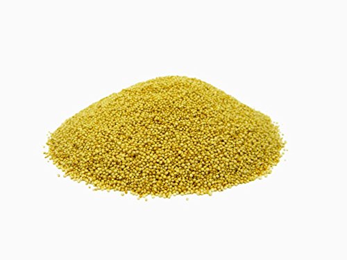 Amaranth Korn / Samen (Rajagro) - 1,5kg von Jalpur Millers