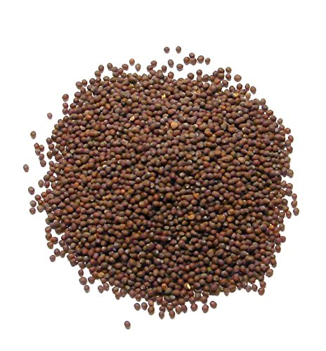 Braune Senf Samen - 1,5kg von Jalpur