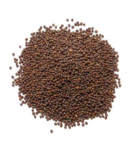Braune Senf Samen - 1,5kg Braune Senf Samen - 1,5kg von Jalpur