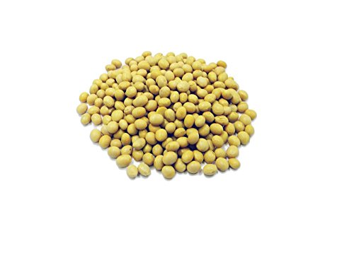 Soya Bohnen - 1,5kg von Jalpur