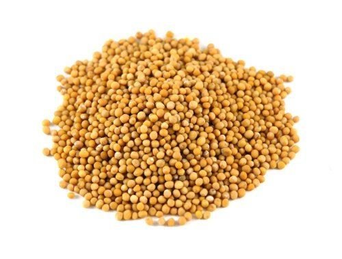Gelbe Senfsamen - 1 kg Gelbe Senfsamen - 1 kg von Jalpur