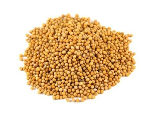 Gelbe Senfsamen - 1 kg von Jalpur