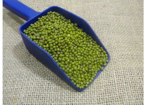 Grüne Mungobohnen (klein) - 300 g von Jalpur