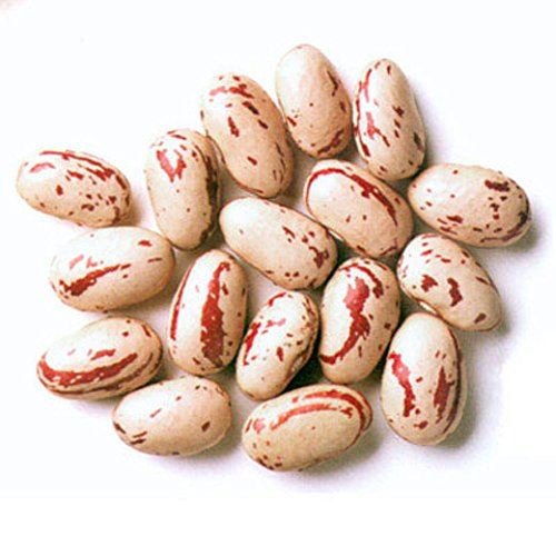 Rosecoco-Bohnen (Wachtelbohnen) - 1 kg von Jalpur