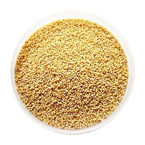 Samen der Kolbenhirse - 100 g Samen der Kolbenhirse - 100 g von Jalpur