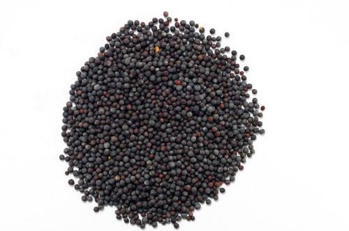 Schwarze Senfsamen - 200 g von Jalpur