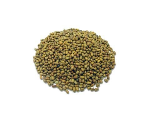 Türkische Kichererbsen (Gram/Moth Beans) im Ganzen - 1 kg von Jalpur