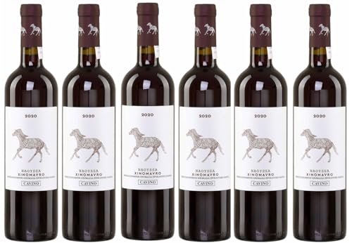 Naoussa Cavino rot 6x 0,75l Flasche | Trockener Rotwein aus Griechenland | 12% Vol. | +20ml Jassas Olivenöl von Jassas Griechische Feinkost