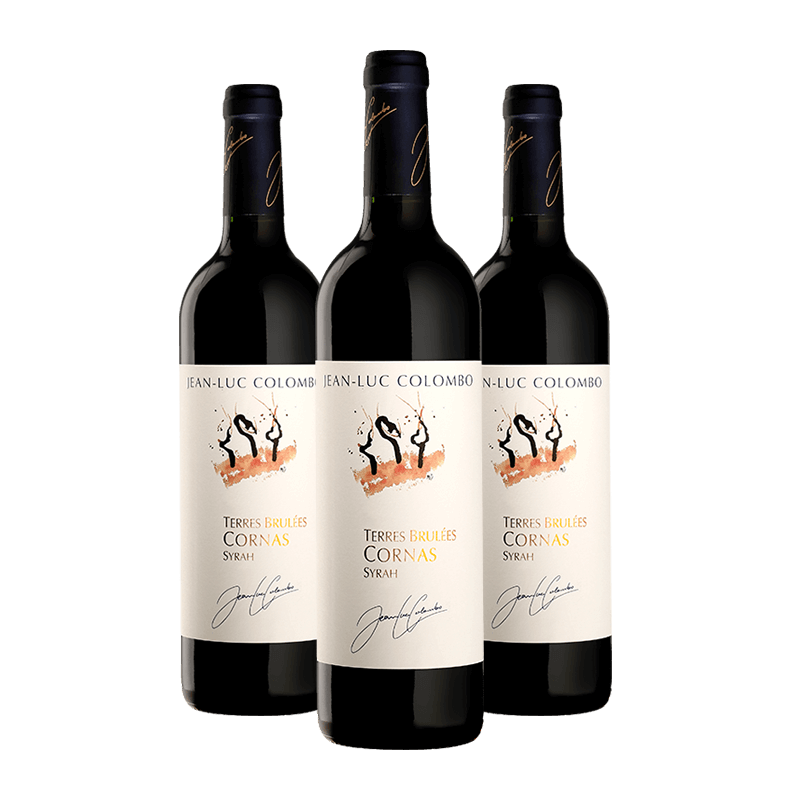 Jean-Luc Colombo : Terres Brûlées 2015 Jean-Luc Colombo : Terres Brûlées 2015 von Jean-Luc Colombo