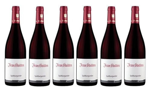 6x 0,75l - 2022er - Jean Stodden - Spätburgunder - VDP.Gutswein - Qualitätswein Ahr - Deutschland - Rotwein trocken von Jean Stodden