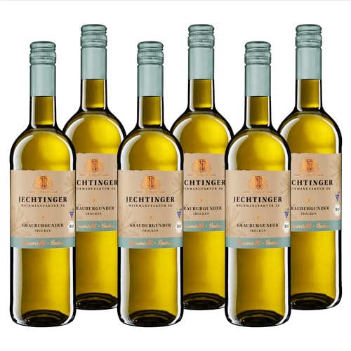 Jechtinger Grauburgunder QbA trocken – SILBER Mundus Vini 2024 – Bio-Weißwein trocken, fruchtig & anregend mit Pfirsich, Apfel & Zitrusfrüchten (6 x 0,75 l) von Winzergenossenschaft Jechtingen-Amoltern am Kaiserstuhl eG