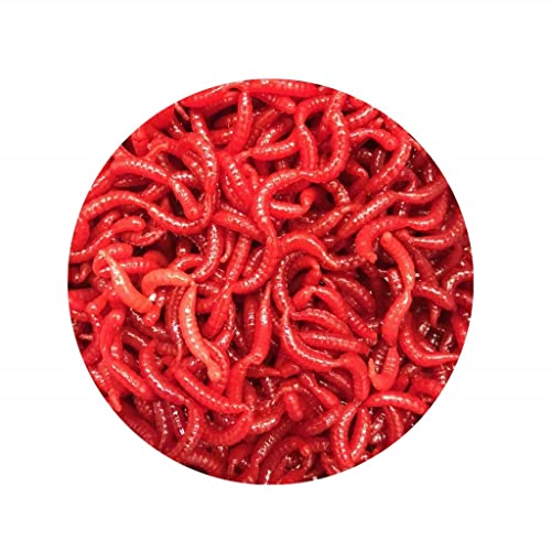Jenzi Tasty Gums Type 4 Maden-Aroma - Rot - Sinking - 10 g von Jenzi
