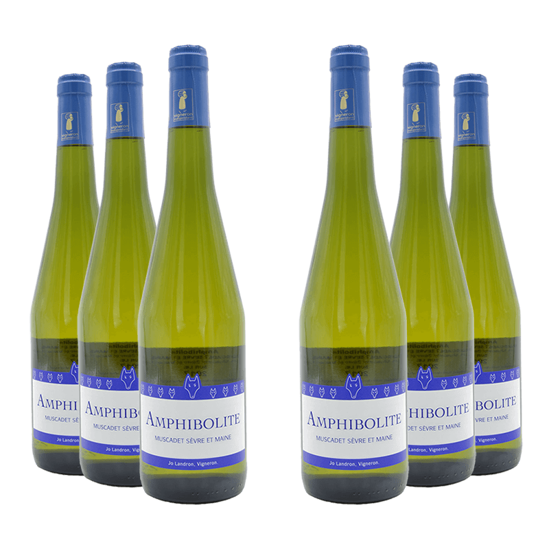 Jo Landron : Amphibolite 2023 Jo Landron : Amphibolite 2023 von Jo Landron